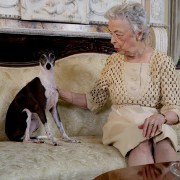 Pets related image